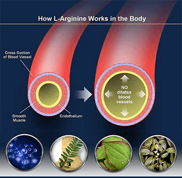 Biomanix Penis Capsule - Kamagra UAE