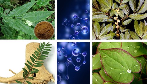 Biomanix Penis Capsule - Kamagra UAE